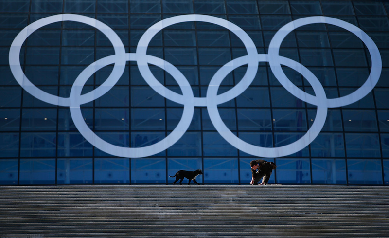 Illustration for article titled The Dogs Of Sochi